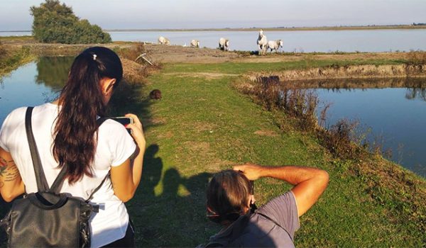 Escursione NatuRa Boscoforte