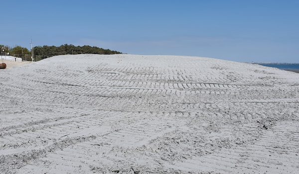 ripascimento spiaggia